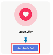 Instroliker like auto ig
