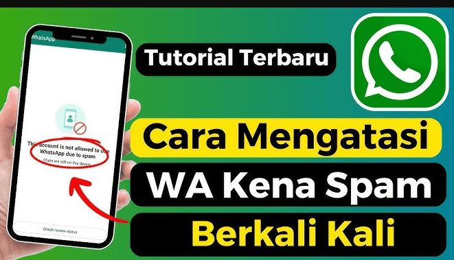 Cara Mengatasi WA Kena Spam: Panduan Lengkap